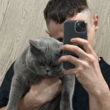 рейк архив | страшные истории на ночь