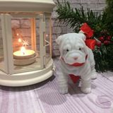 Мыло ручной работы. Букеты из мыла