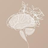 Осознанная продуктивность | Анна Тарасова