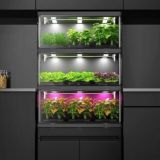 Cityfarmers - The Secret Room 🇺🇦