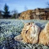 Путь к успеху