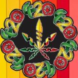 КОНТАКТЫ БОШКА