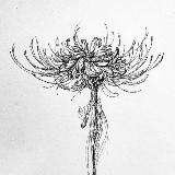 последний серафим