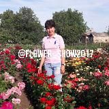 Питомник роз @flower_show2017 Губанова Светлана