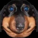 Taidana непосредственно БАЗА