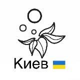 Elf bar Киев 🇺🇦 | Доставка курьером