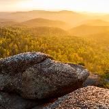 filinin_wallpapers