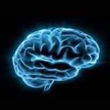 Белый Прогресс