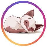 Одежда для новорождённых GATITO(ГАТИТО)