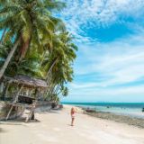 Prosamui