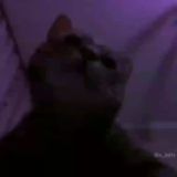 Karacik hack chat ™️