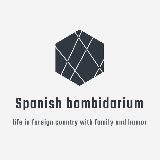 Бомбидарий Шмелёва