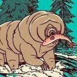 Биологические беруши