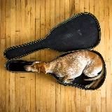 Me & lbourne: о смелости действовать