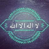 Мединские студенты