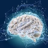 Мысли о главном