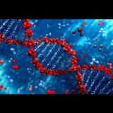 《BIOLOGIYA 》《KIMYO 》