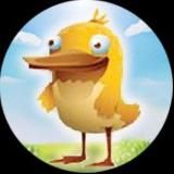 Ставки на ММА