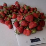 Земляника-Клубника. Слюдянка - Байкальск