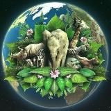 Опасный Дикий Мир