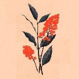 дом без стен