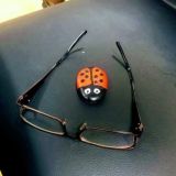 Культурный бенуар