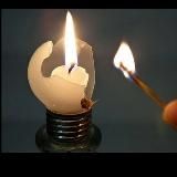 ⚡️SVETA.NET.BRZ⚡️