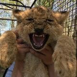 БАНК СТОРИС|insprö🐊