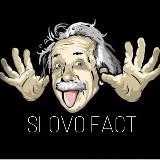 SlovoFact ☝️