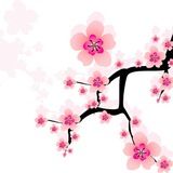 🌸~Sakura Dolls~🌸