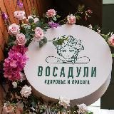ВОСАДУЛИ Здоровье и Красота