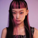 Дневник Виселия