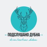 Чат г. Дубна