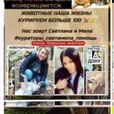 ❤️#кураторы_светамила_помощь Помощь хвостикам Ростов на Дону и область у нас 🐶🐱🦮🐕‍🦺🐕🐕🐈более 160 хвостиков🐾🐾🐾🐾