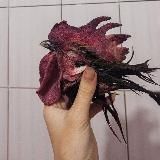 Лавка муторностей