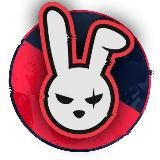 ЗЛОЙ КРОЛИК