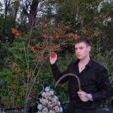 🦊 Дворец Дайсона 👑🖤