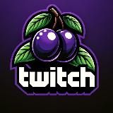 Твич сливы стримерш