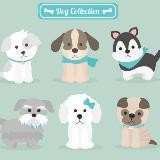 🐾 Chollos para Mascotas ️ Ofertas Cupones