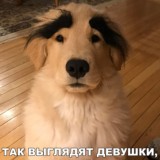 Смешные Моменты