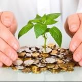 Складчина. Курсы. Сливы. Не еда.