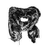 Керик - выкупаю и привожу 💞