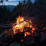 Family Hearth