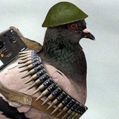 БОЙОВИЙ ГОЛУБ НАТО