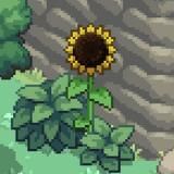 •🍃[𝔨.𝔱.]🍀|_`-«. Клевер Таун .»-´_|🍃[𝔨.𝔱.]🍀•