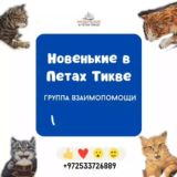 Чат для связи °Новенькие от Анастасии Светлой 🔝