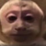 Молодой Мечтатель