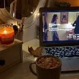 ⊹ ࣪. veranda ૮ 。 темки и язычки