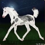 𝐶𝑎𝑛𝑑𝑦 ℎ𝑜𝑟𝑠𝑒 - 𝑊𝑖𝑙𝑑 ℎ𝑜𝑟𝑠𝑒 𝑖𝑠𝑙𝑎𝑛𝑑𝑠🍬