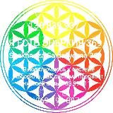 РАСПИСАНИЕ- Shakhnoza Saidaliyevna369